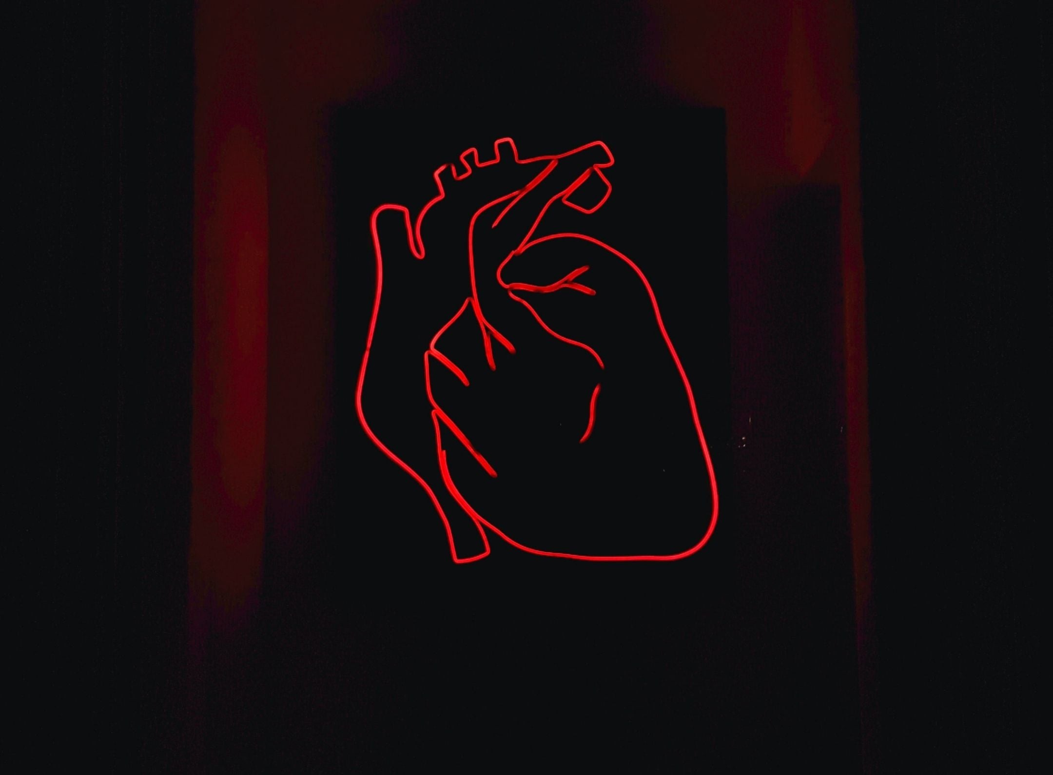 HOW TO PREVENT HEART PROBLEM