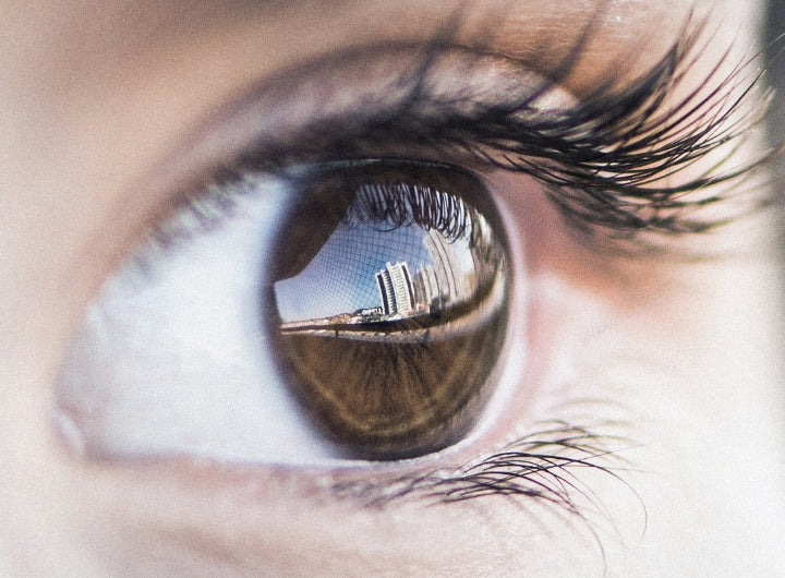 REFLEXES: THE IMPORTANCE OF GOOD REFLEXES AND NATURAL WAYS TO IMPROVE THEM