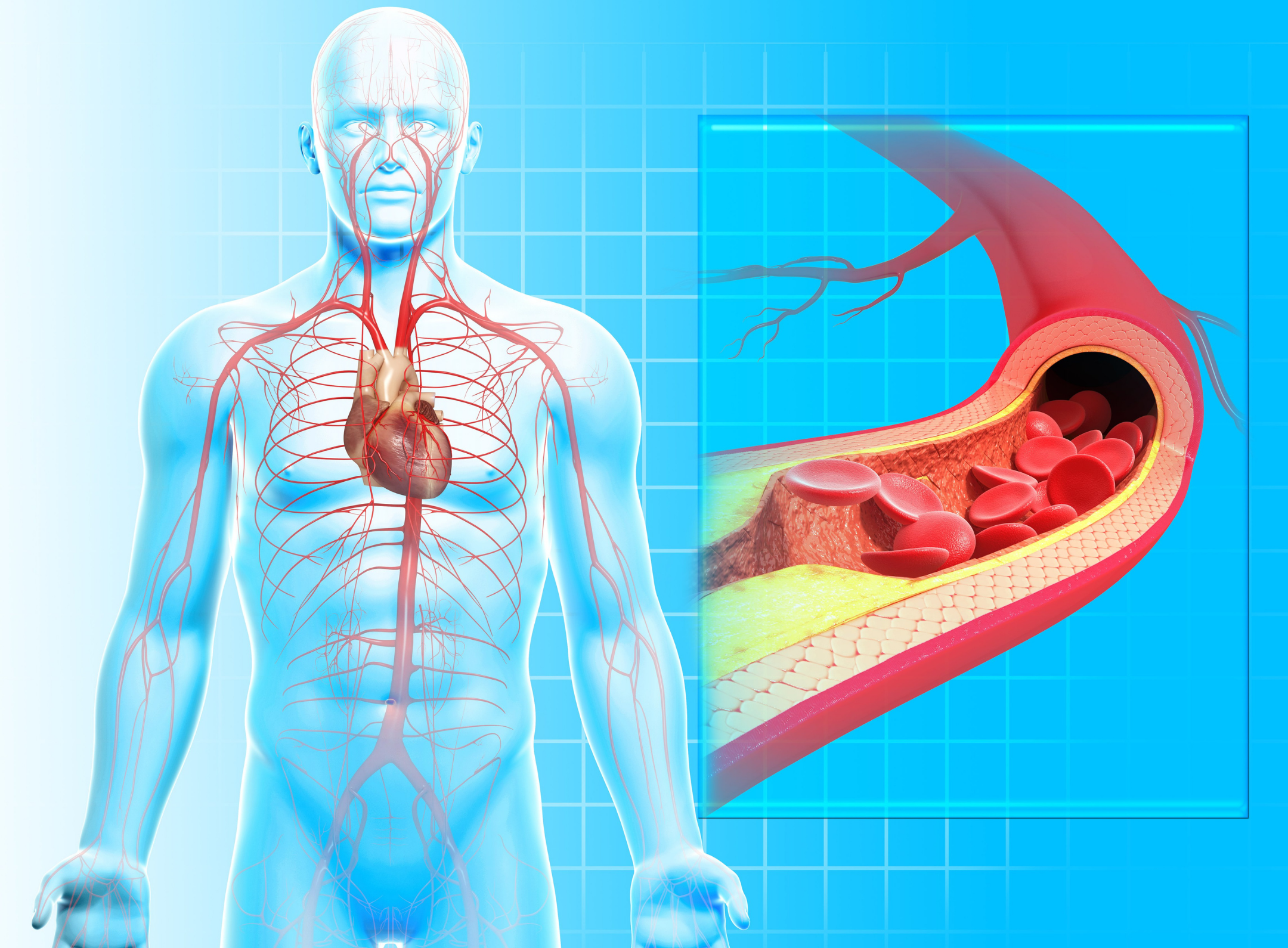 BLOOD CIRCULATION IS VITAL TO YOUR HEALTH